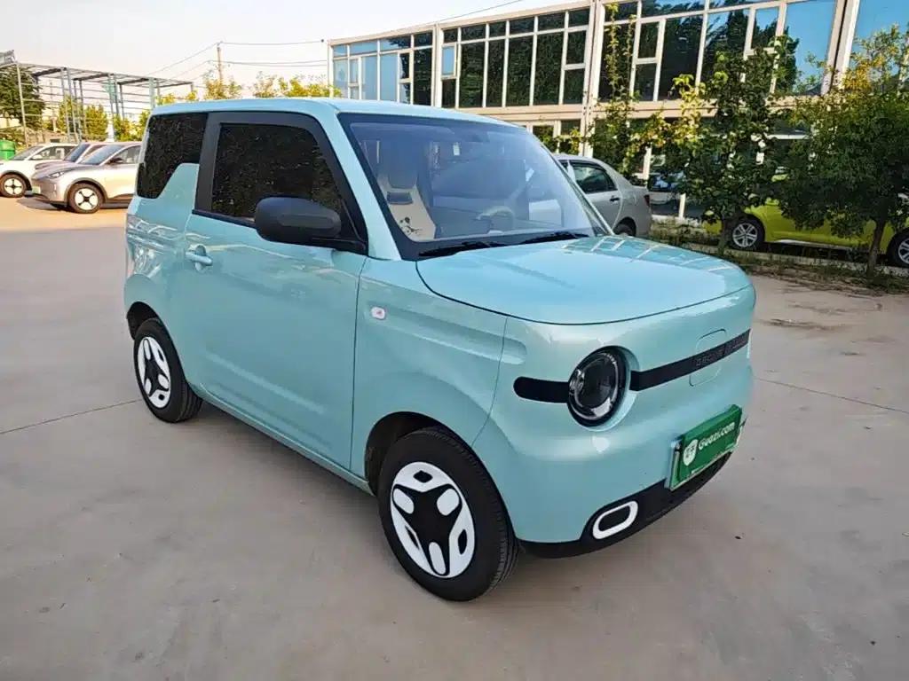 Panda 2025 Panda Mini 210km - Energetic Bear — миниатюра 4