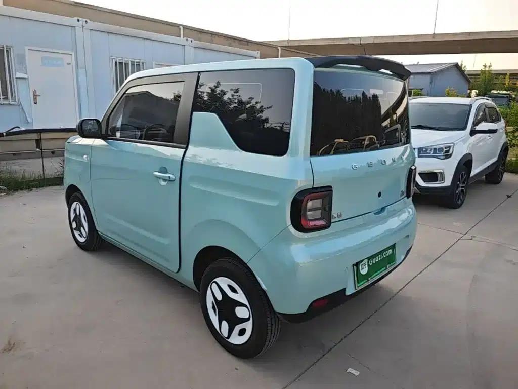 Panda 2025 Panda Mini 210km - Energetic Bear — миниатюра 5