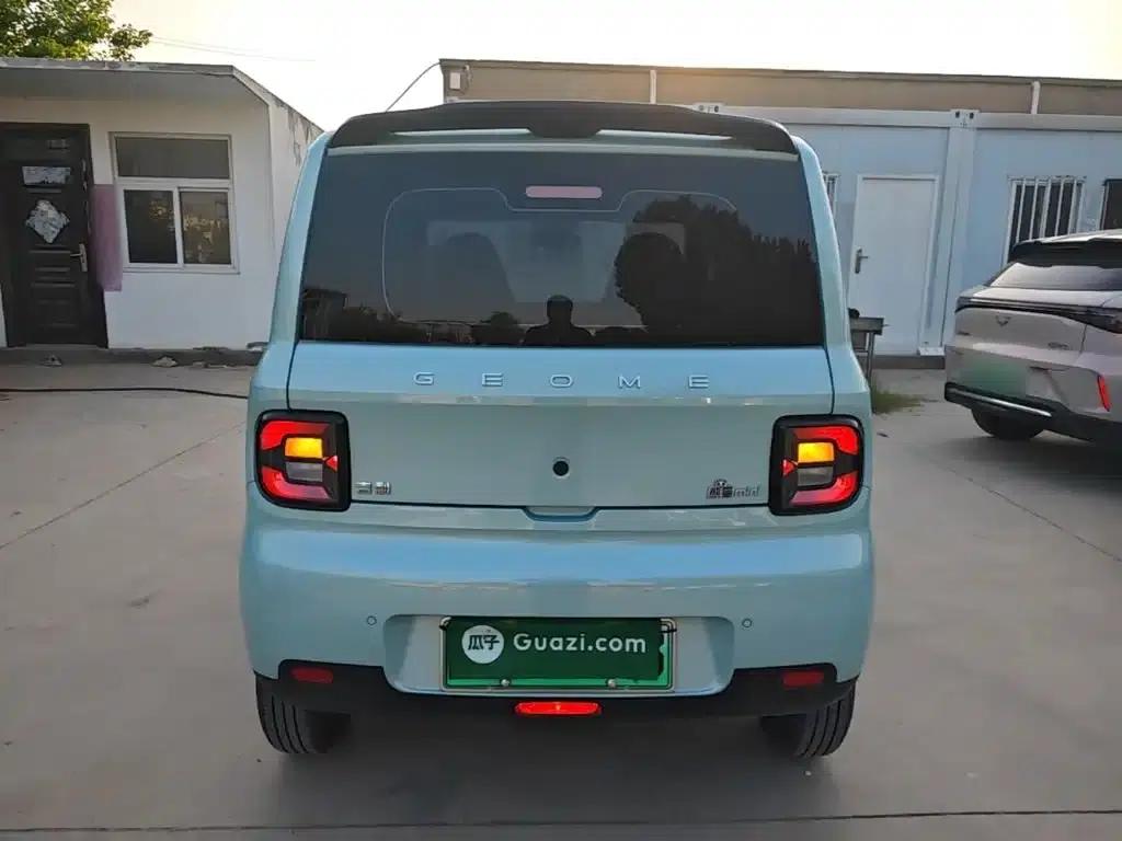 Panda 2025 Panda Mini 210km - Energetic Bear — миниатюра 6