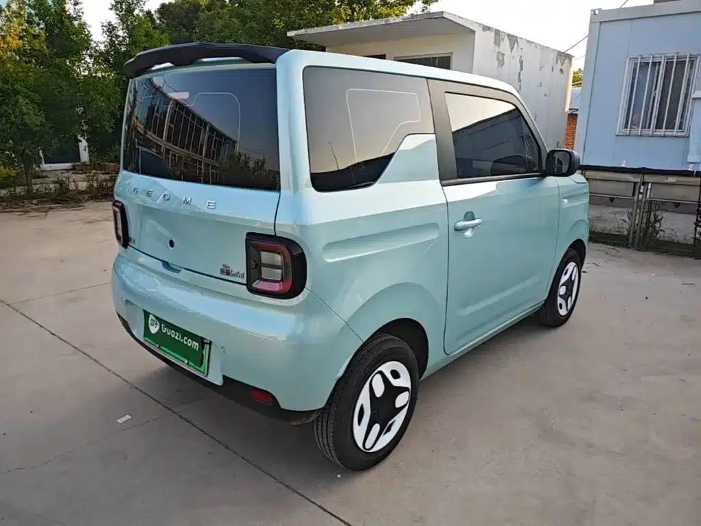 Panda 2025 Panda Mini 210km - Energetic Bear — миниатюра 7