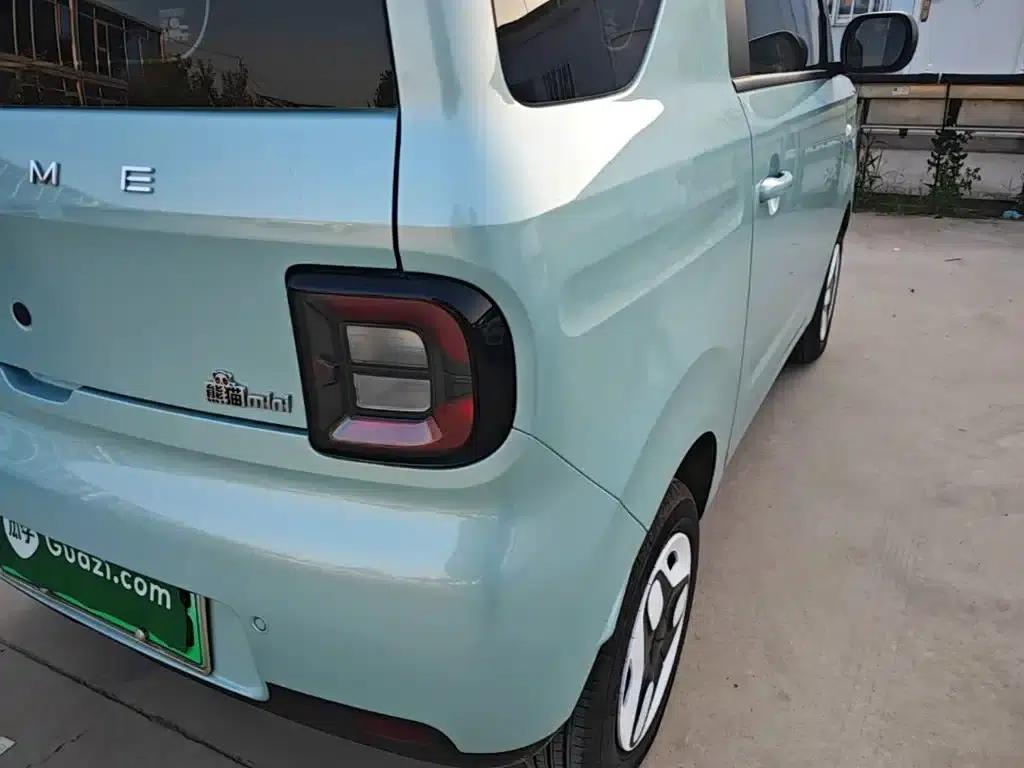 Panda 2025 Panda Mini 210km - Energetic Bear — миниатюра 8