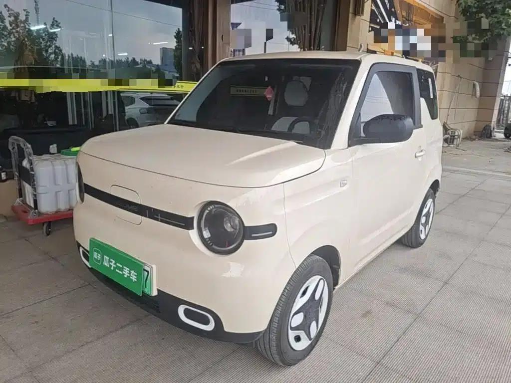 Panda 2025 Panda Mini 210km - Energetic Bear — миниатюра 2