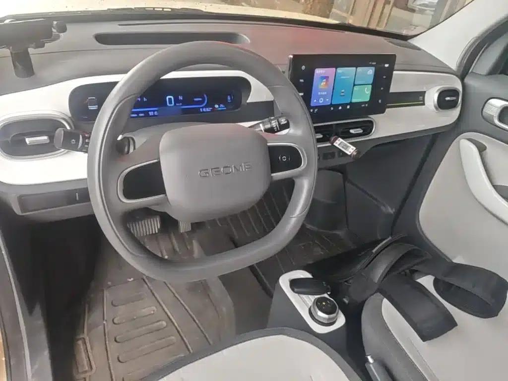 Panda 2025 Panda Mini 210km - Energetic Bear — миниатюра 11