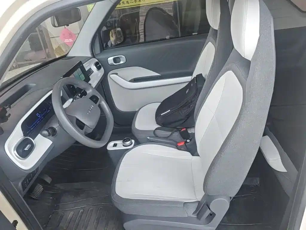 Panda 2025 Panda Mini 210km - Energetic Bear — миниатюра 15