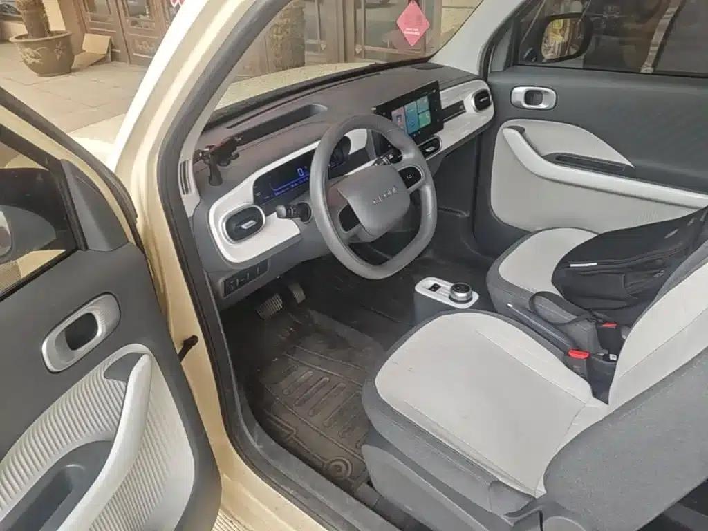 Panda 2025 Panda Mini 210km - Energetic Bear — миниатюра 16