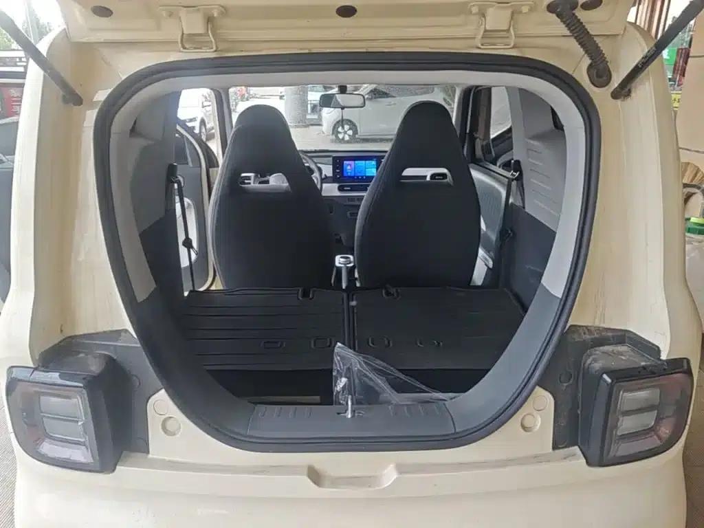 Panda 2025 Panda Mini 210km - Energetic Bear — миниатюра 19