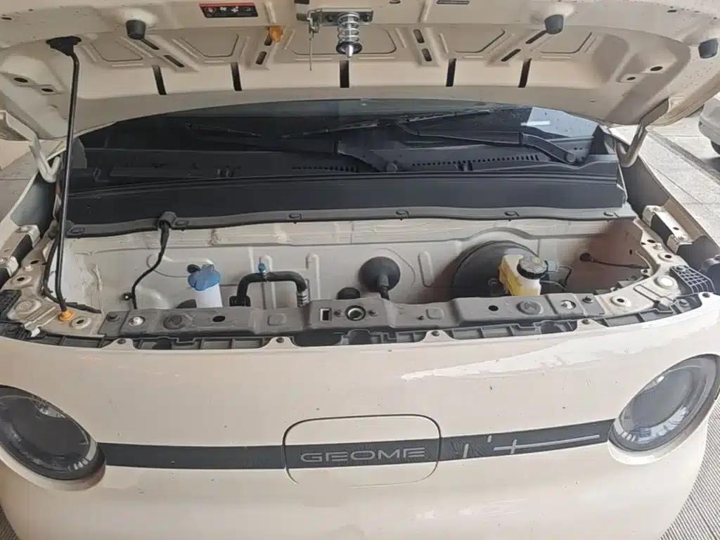 Panda 2025 Panda Mini 210km - Energetic Bear — миниатюра 20