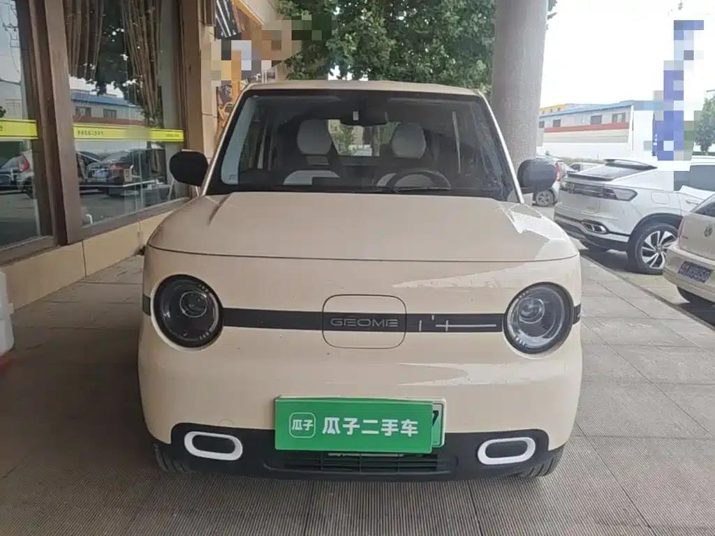 Panda 2025 Panda Mini 210km - Energetic Bear — миниатюра 3