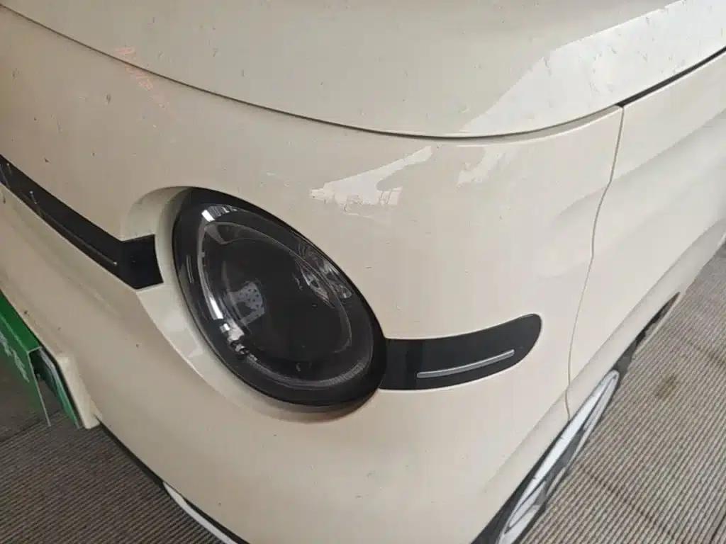 Panda 2025 Panda Mini 210km - Energetic Bear — миниатюра 24