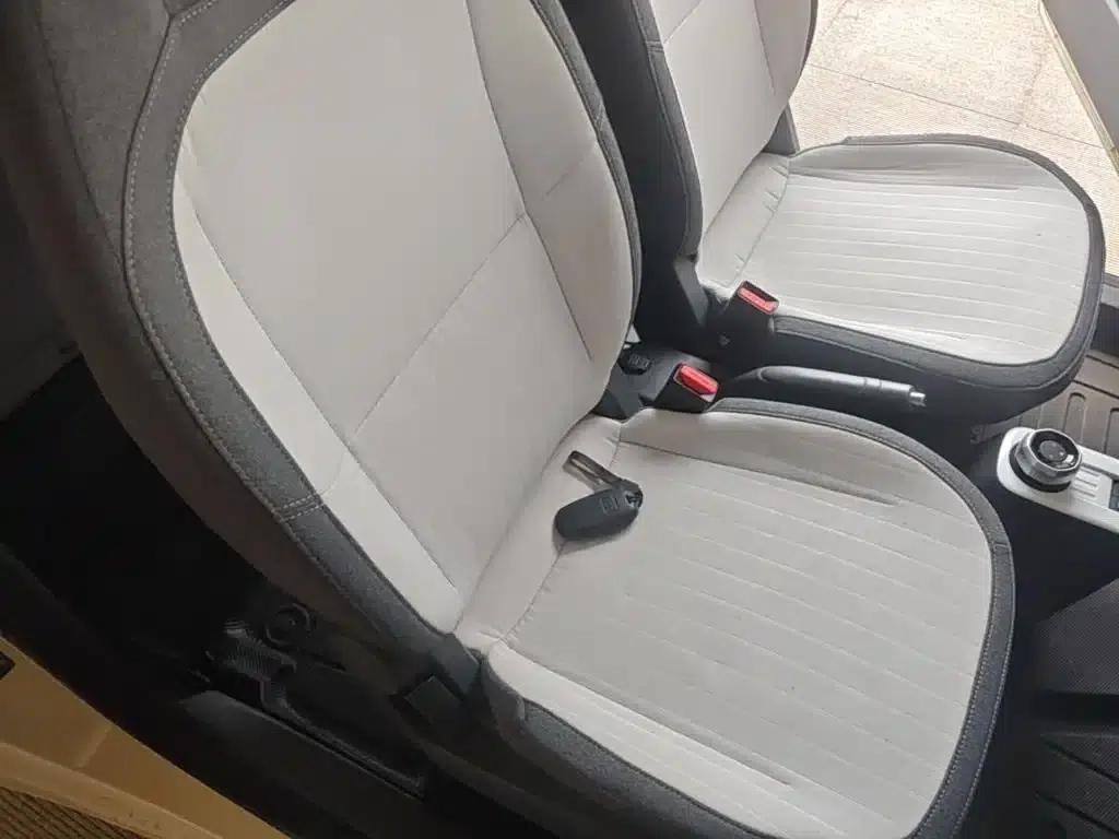 Panda 2025 Panda Mini 210km - Energetic Bear — миниатюра 25