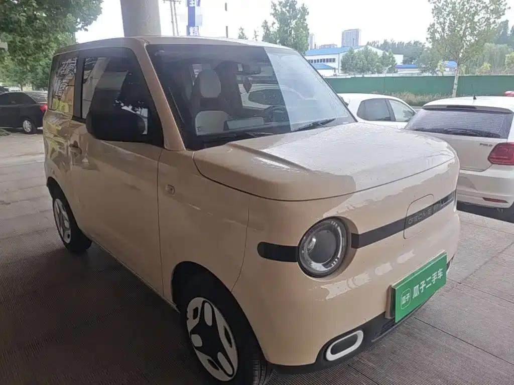 Panda 2025 Panda Mini 210km - Energetic Bear — миниатюра 4