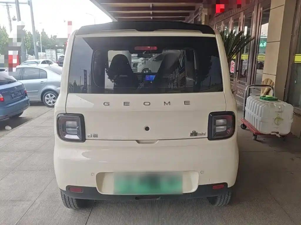 Panda 2025 Panda Mini 210km - Energetic Bear — миниатюра 6