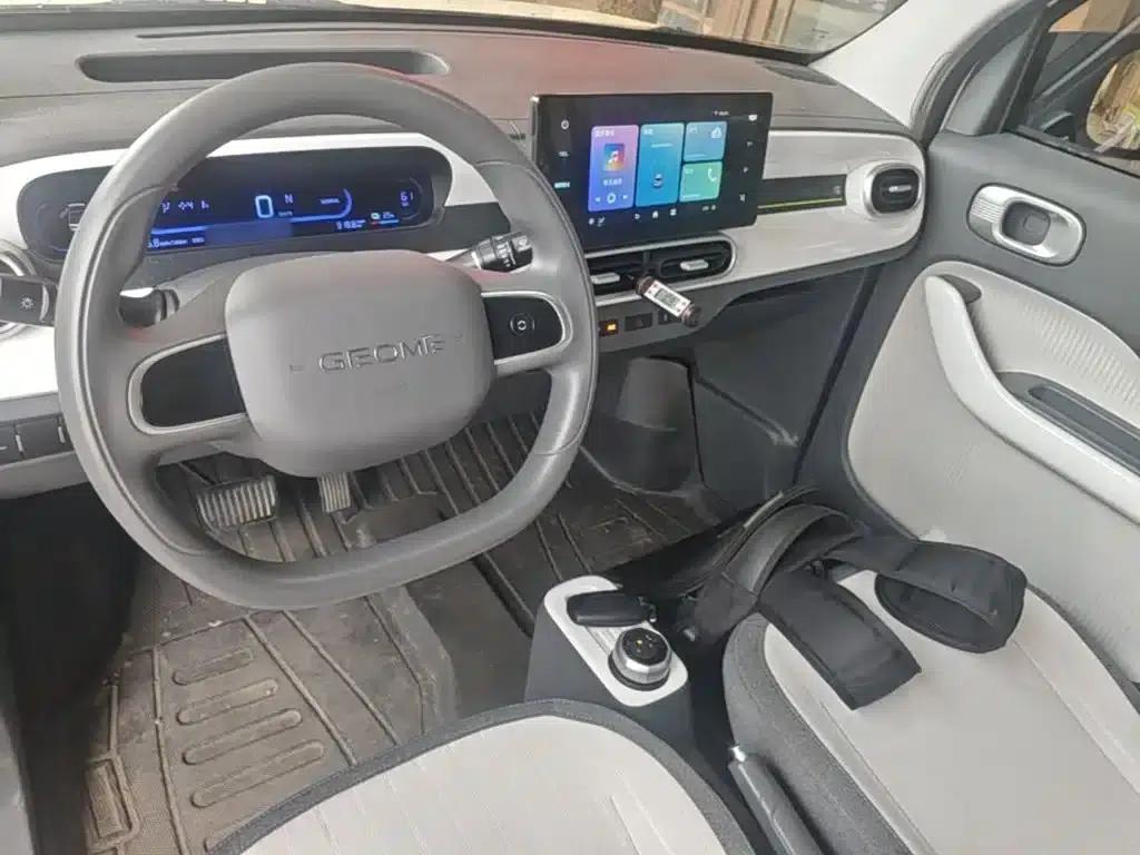 Panda 2025 Panda Mini 210km - Energetic Bear — миниатюра 10