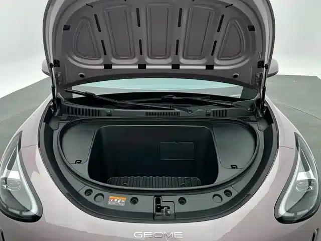 Star Wish 2025 310km Dream Edition — миниатюра 9