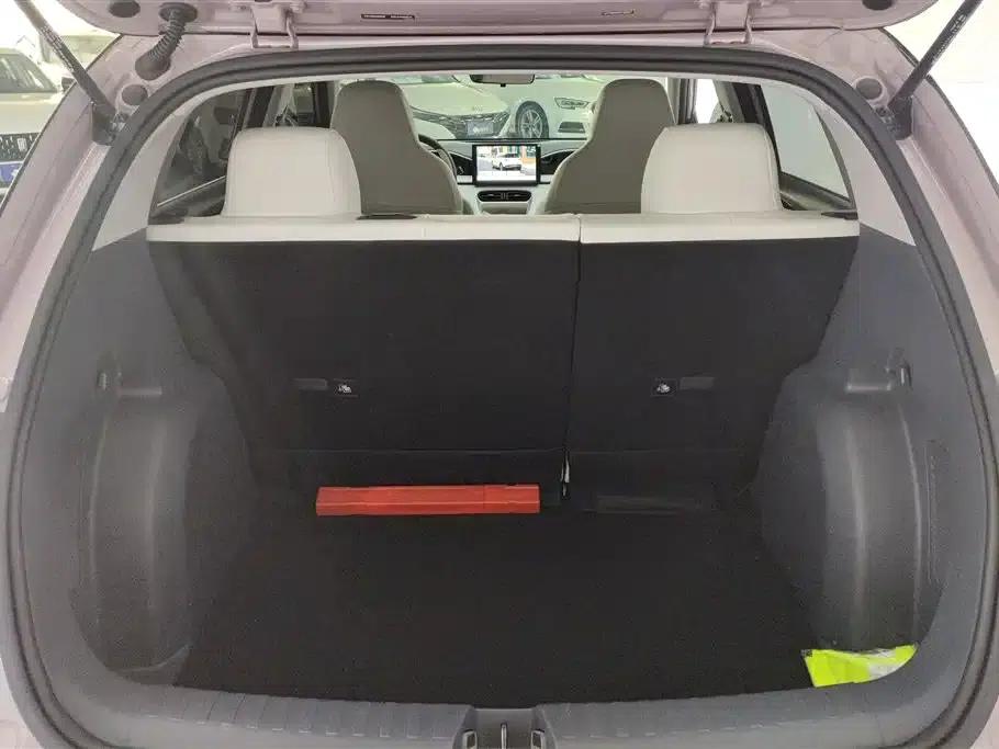 Star Wish 2025 410km Freedom Edition — миниатюра 4