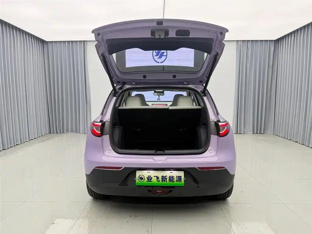 Wish Star 2026 410km Explorer Edition — миниатюра 18