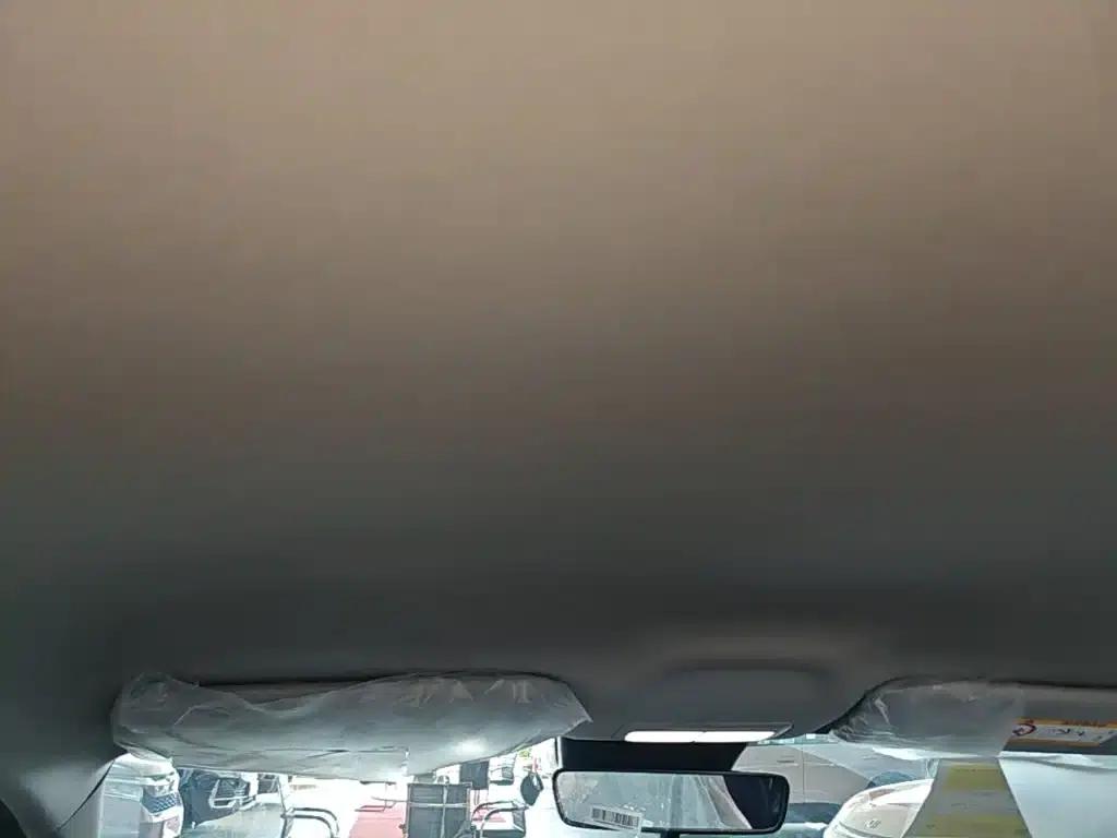 Star Wish 2026 Model 310km Dream Edition — миниатюра 18