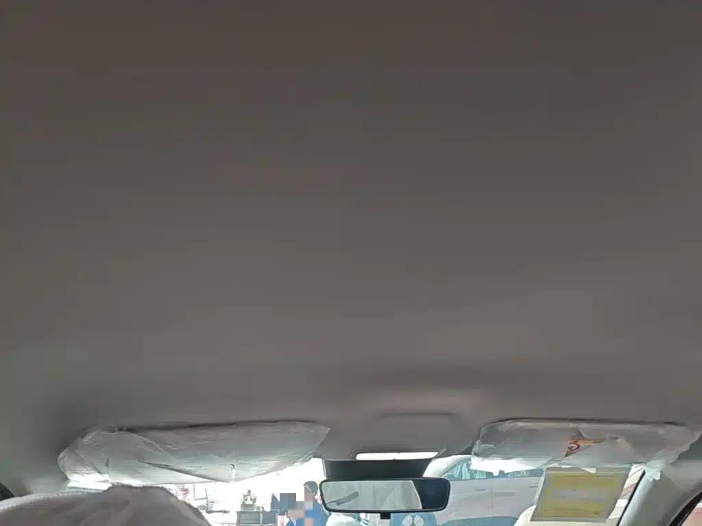 Star Wish 2026 Model 310km Dream Edition — миниатюра 18