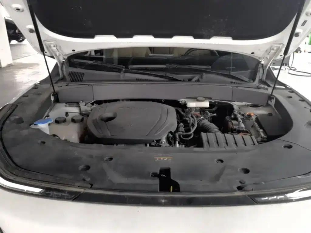 Galaxy L7 2024 1.5T 55km PRO Dragon Edition — миниатюра 20