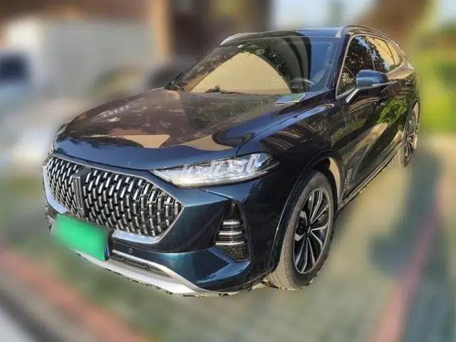 Wey Mocha 2021 2.0T Four-Wheel Drive Premium Edition