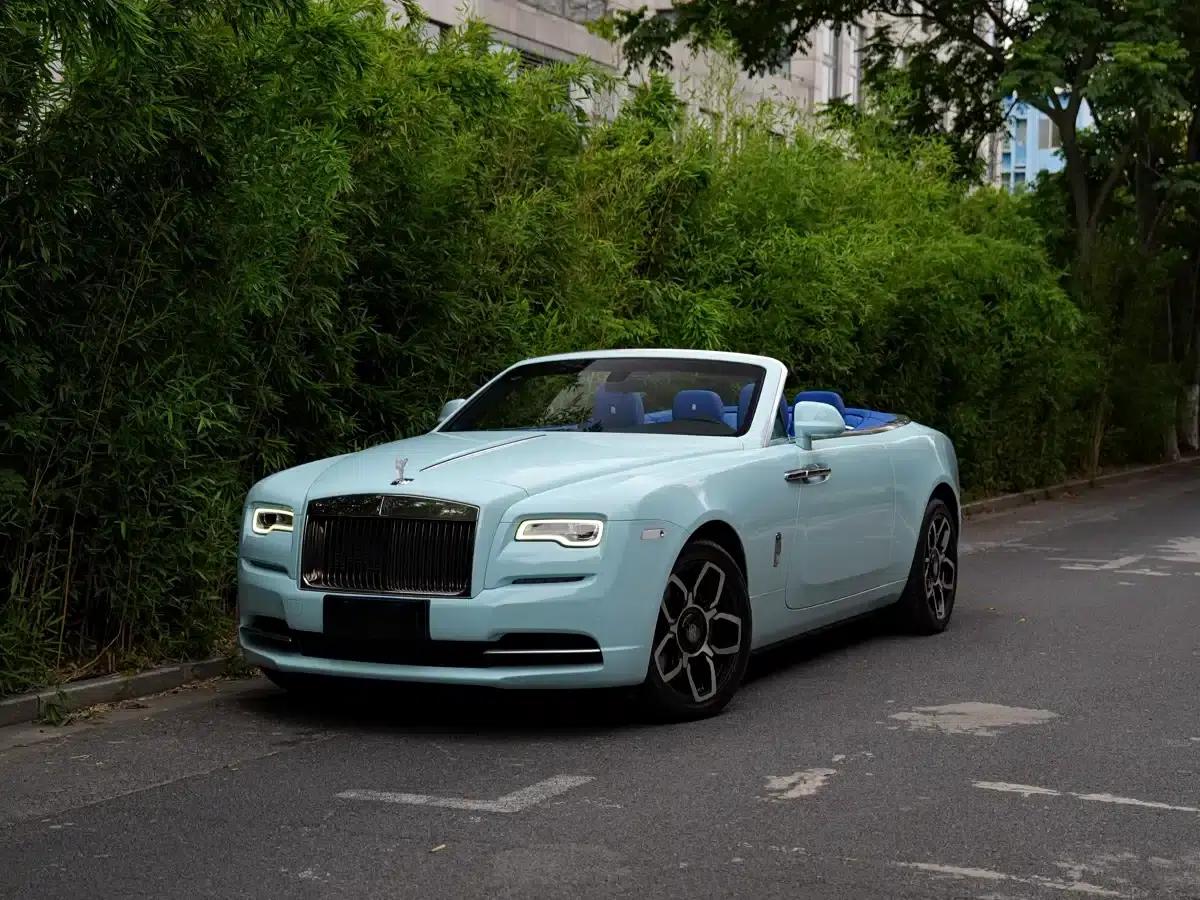 2018 Dawn 6.6T Standard Edition — миниатюра 1