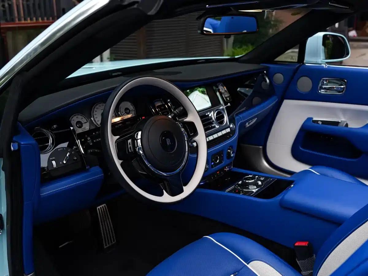 2018 Dawn 6.6T Standard Edition — миниатюра 11