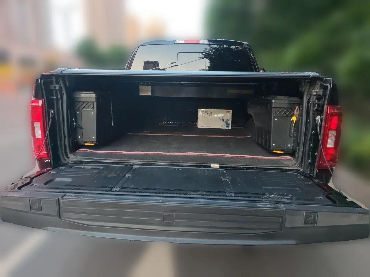 Ford F-150 — миниатюра 19