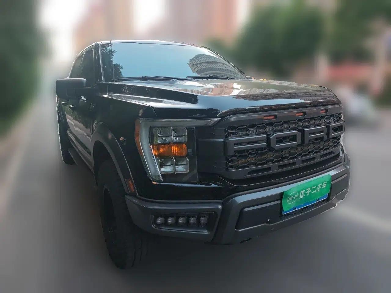 Ford F-150 — миниатюра 3