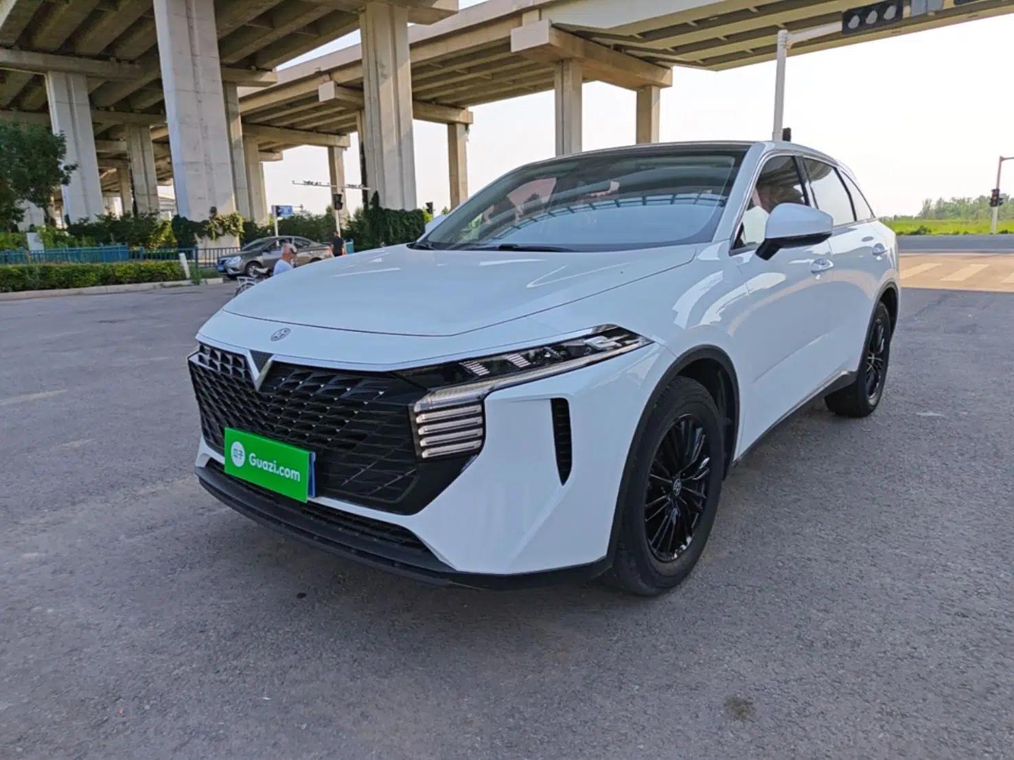Venucia V 2021 260T Idol Edition — миниатюра 1