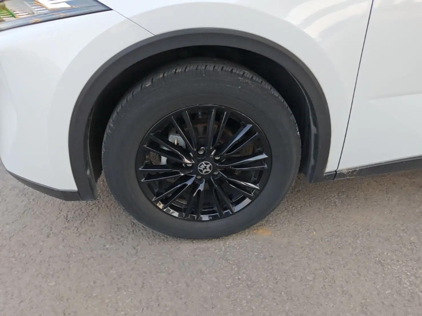Venucia V 2021 260T Idol Edition — миниатюра 10
