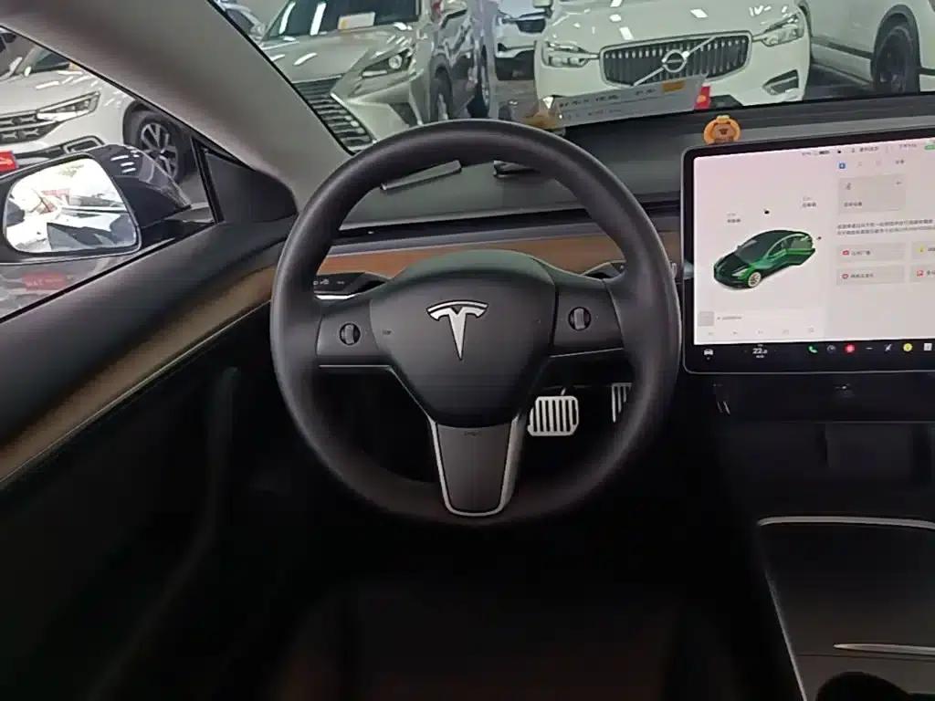 Model 3 2021 Standard Range Rear-Wheel Drive Upgrade — миниатюра 11