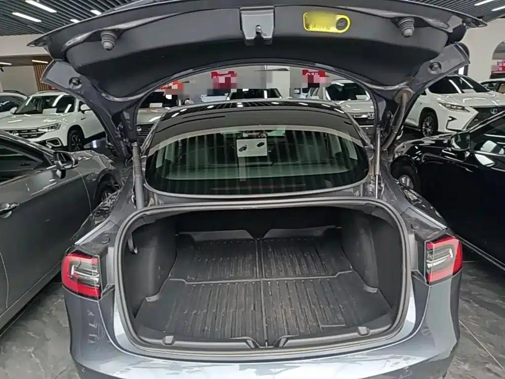 Model 3 2021 Standard Range Rear-Wheel Drive Upgrade — миниатюра 19