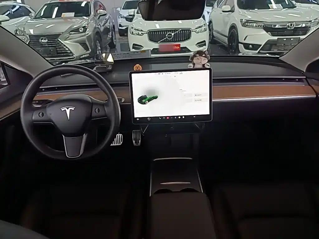 Model 3 2021 Standard Range Rear-Wheel Drive Upgrade — миниатюра 10