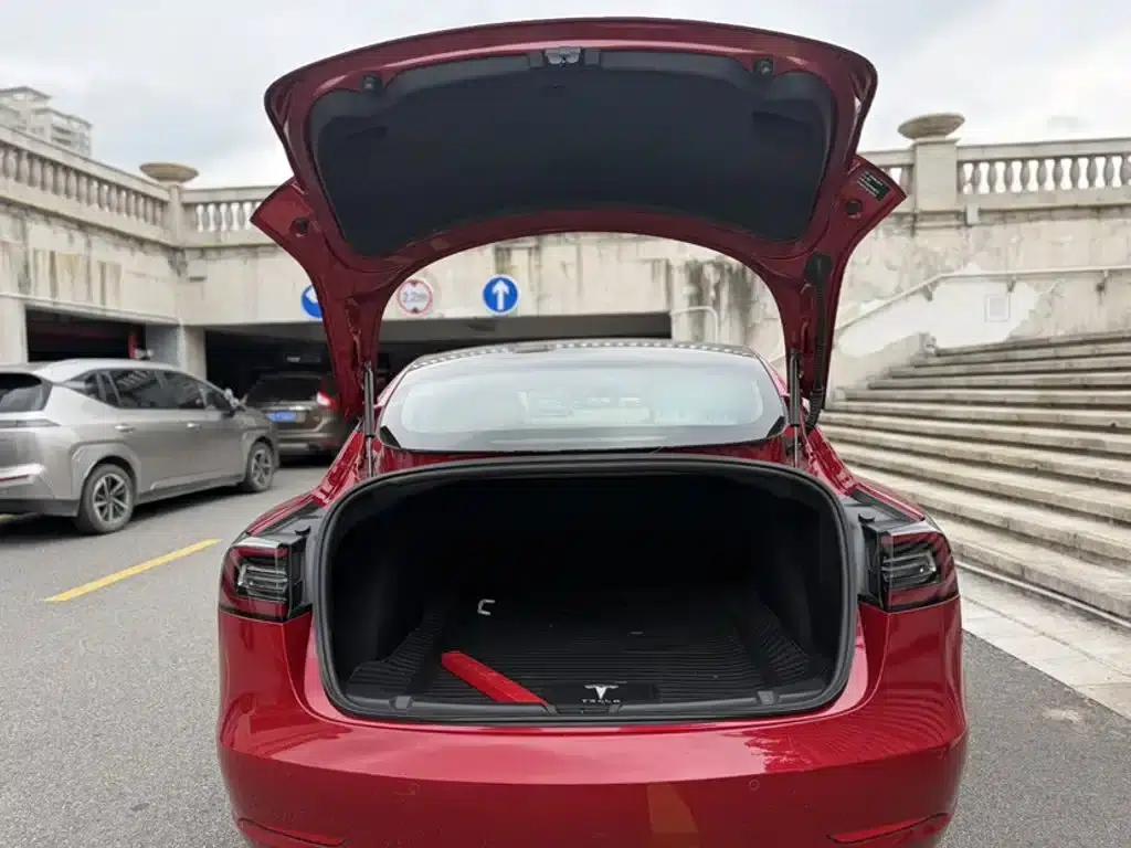 Model 3 2019 Standard Range Rear-Wheel Drive Upgrade — миниатюра 18
