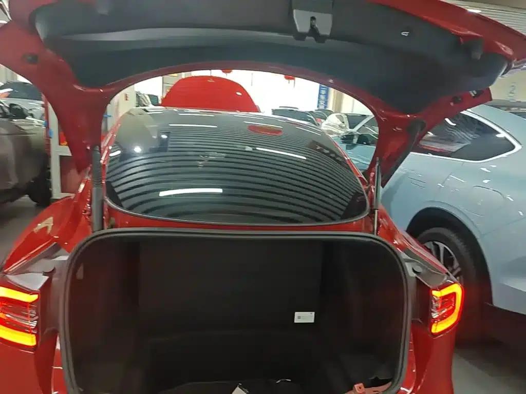 Model 3 2019 Standard Range Rear-Wheel Drive Upgrade — миниатюра 19