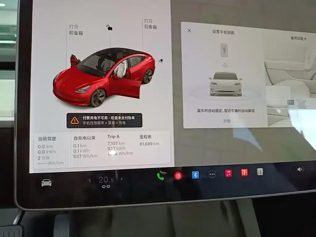 Model 3 2021 Standard Range Rear-Wheel Drive Upgrade — миниатюра 12
