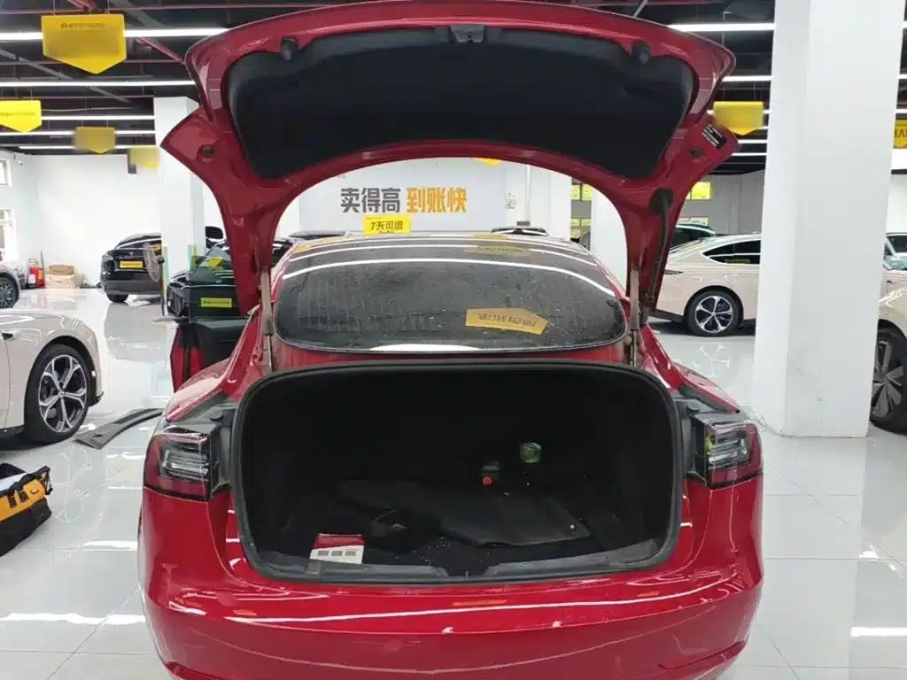 Model 3 2020 Standard Range Rear-Wheel Drive Upgrade — миниатюра 19