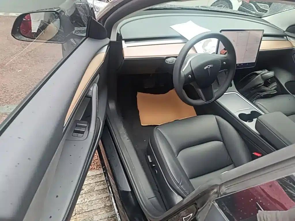 Model 3 2021 Standard Range Rear-Wheel Drive Upgrade — миниатюра 16