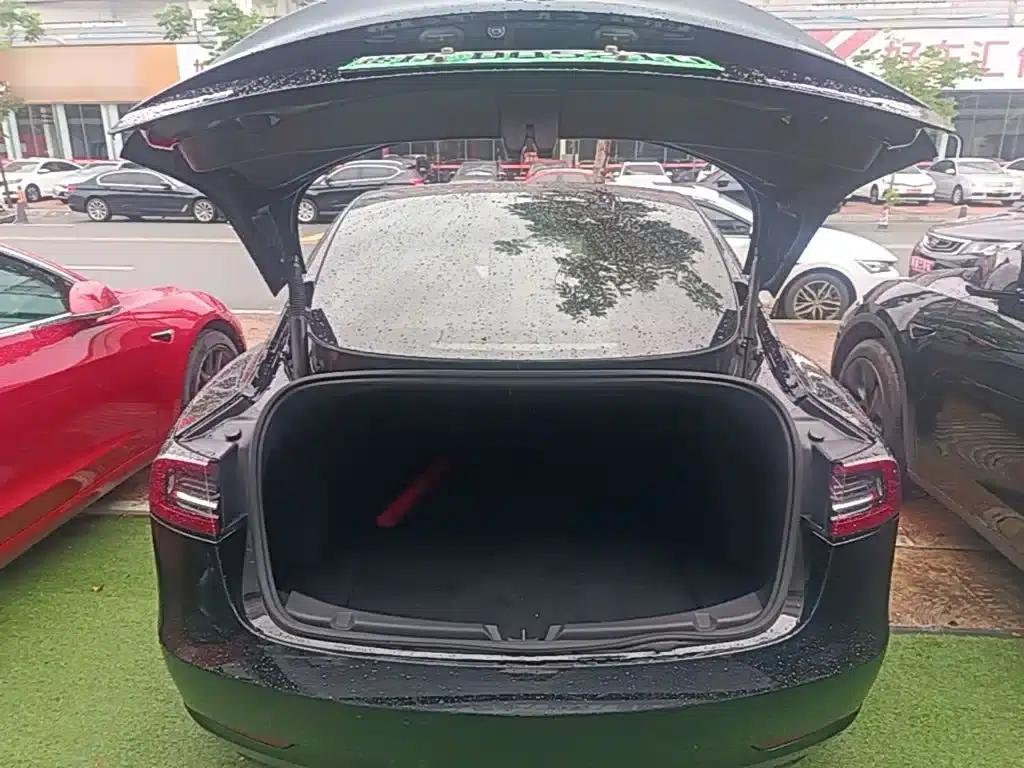 Model 3 2021 Standard Range Rear-Wheel Drive Upgrade — миниатюра 19