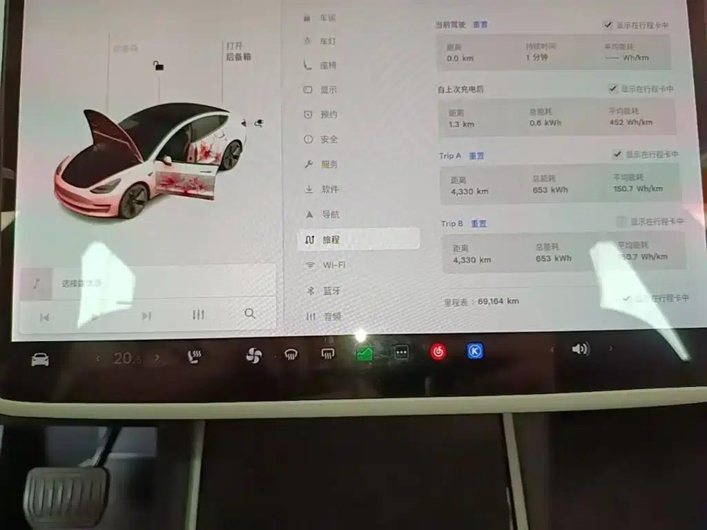 Imported 2019 Model 3 Standard Range Rear-Wheel Drive Upgrade — миниатюра 12