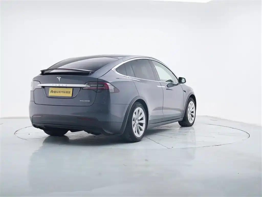 Model X 2020 Long Range Plus — миниатюра 8