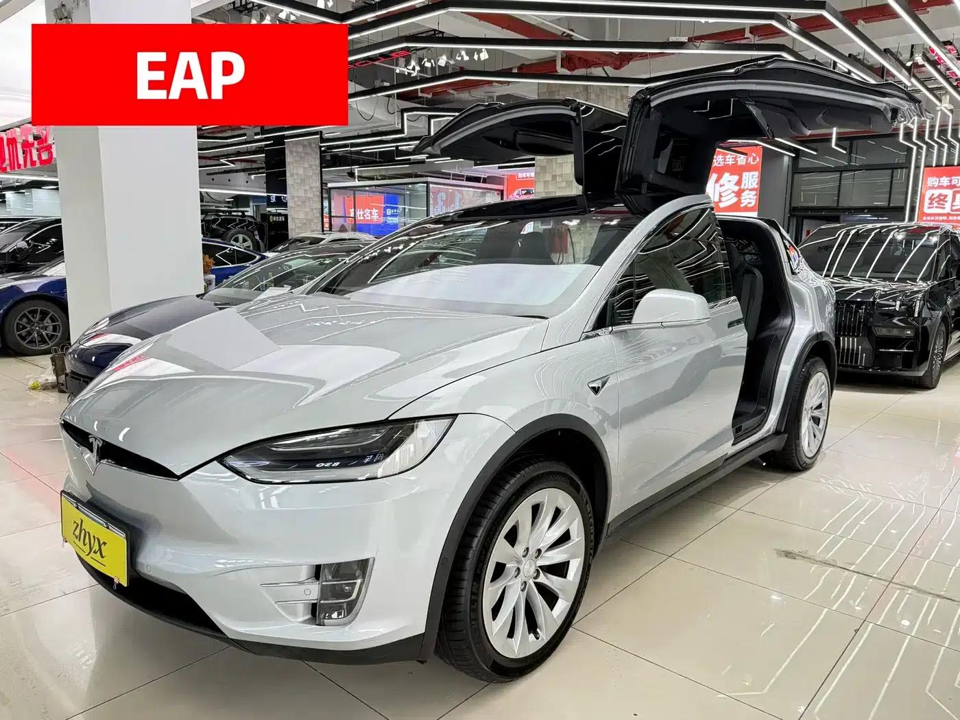 2017 Model X 100D Long Range — миниатюра 1