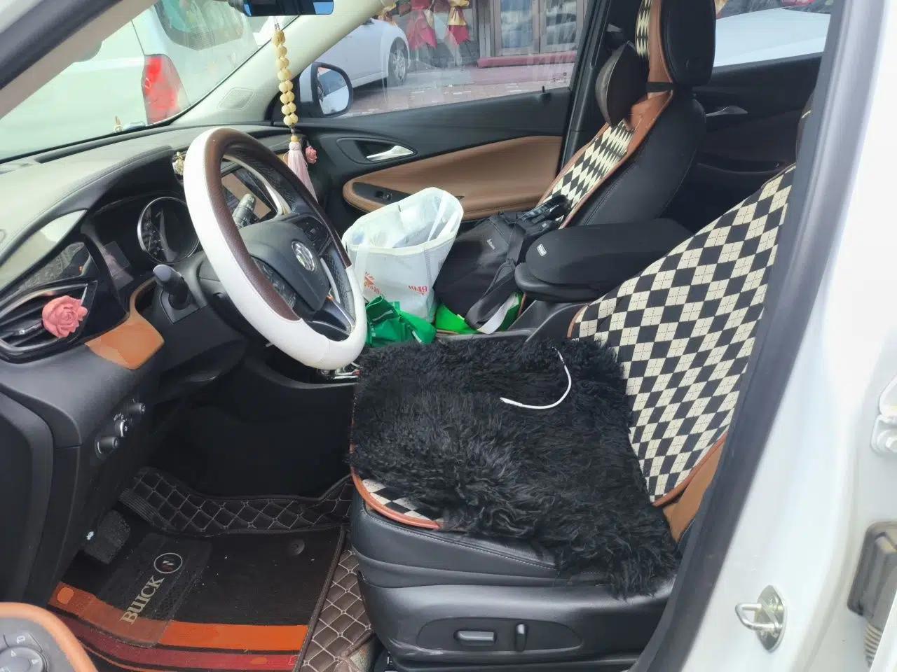 Buick Encore GX 2020 20T CVT Two-Wheel Drive Flagship Version — миниатюра 15