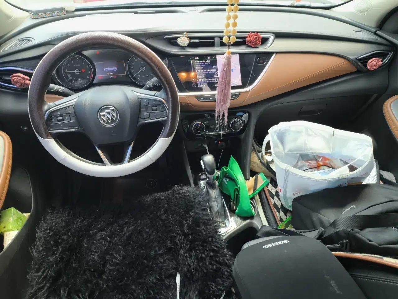 Buick Encore GX 2020 20T CVT Two-Wheel Drive Flagship Version — миниатюра 9