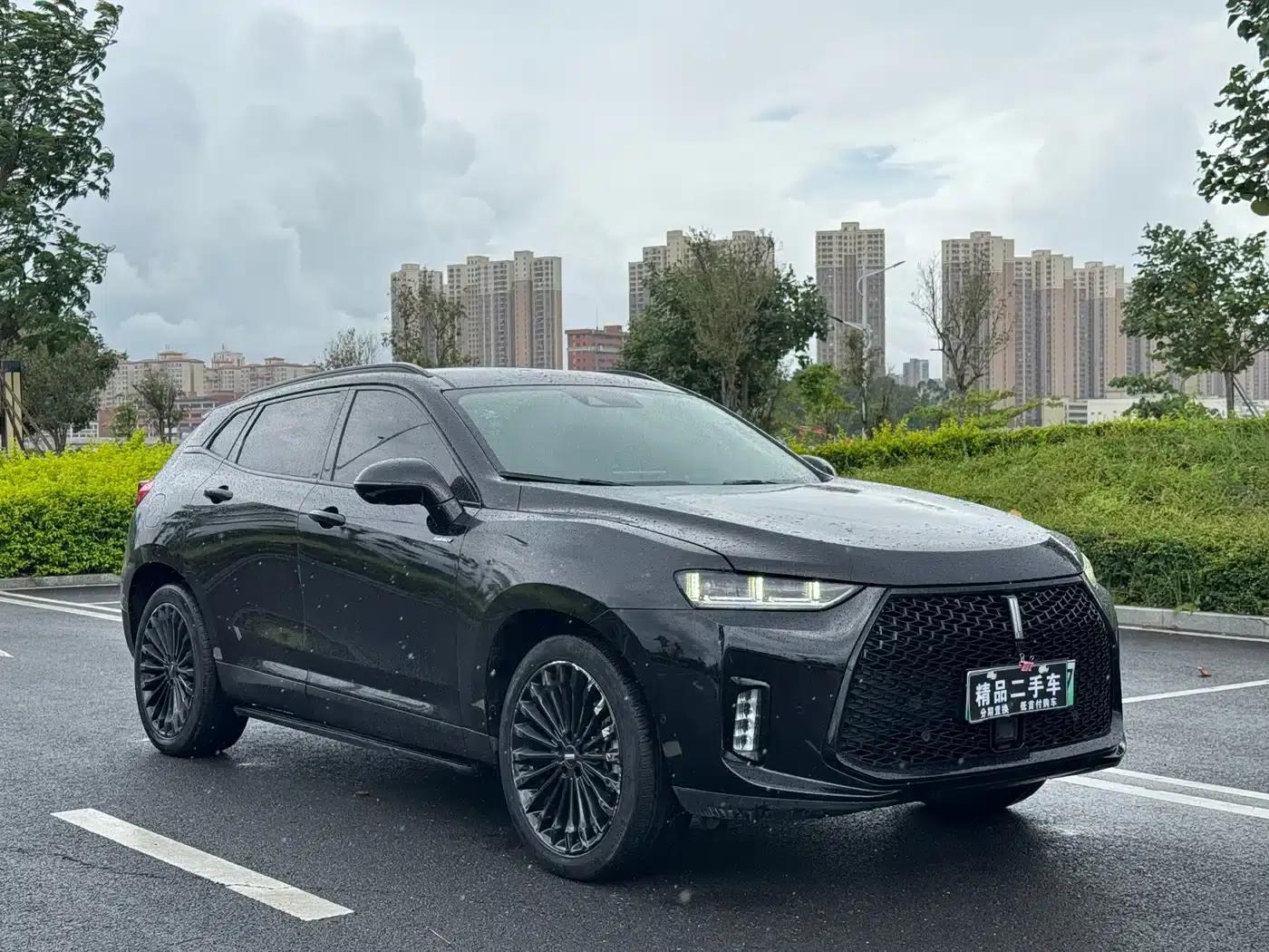 Wey P8 2018 2.0T Flagship Edition — миниатюра 3