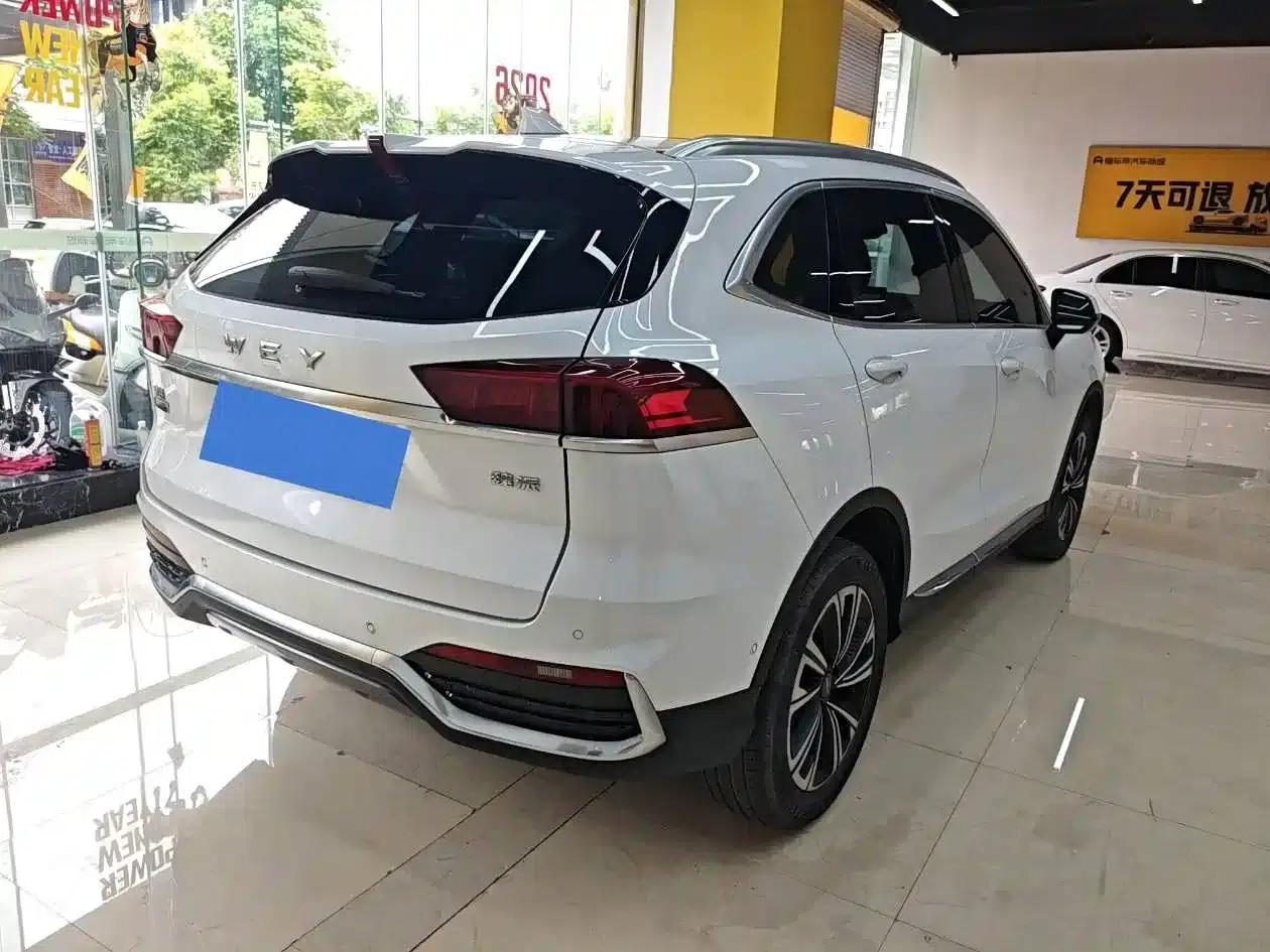Wei Brand Latte DHT 2022 1.5T DHT Extra Large Cup — миниатюра 4