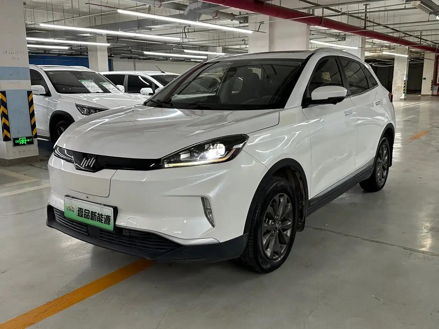 Weltmeister EX5 2018 EX5 400 Extra Innovation Edition — миниатюра 1