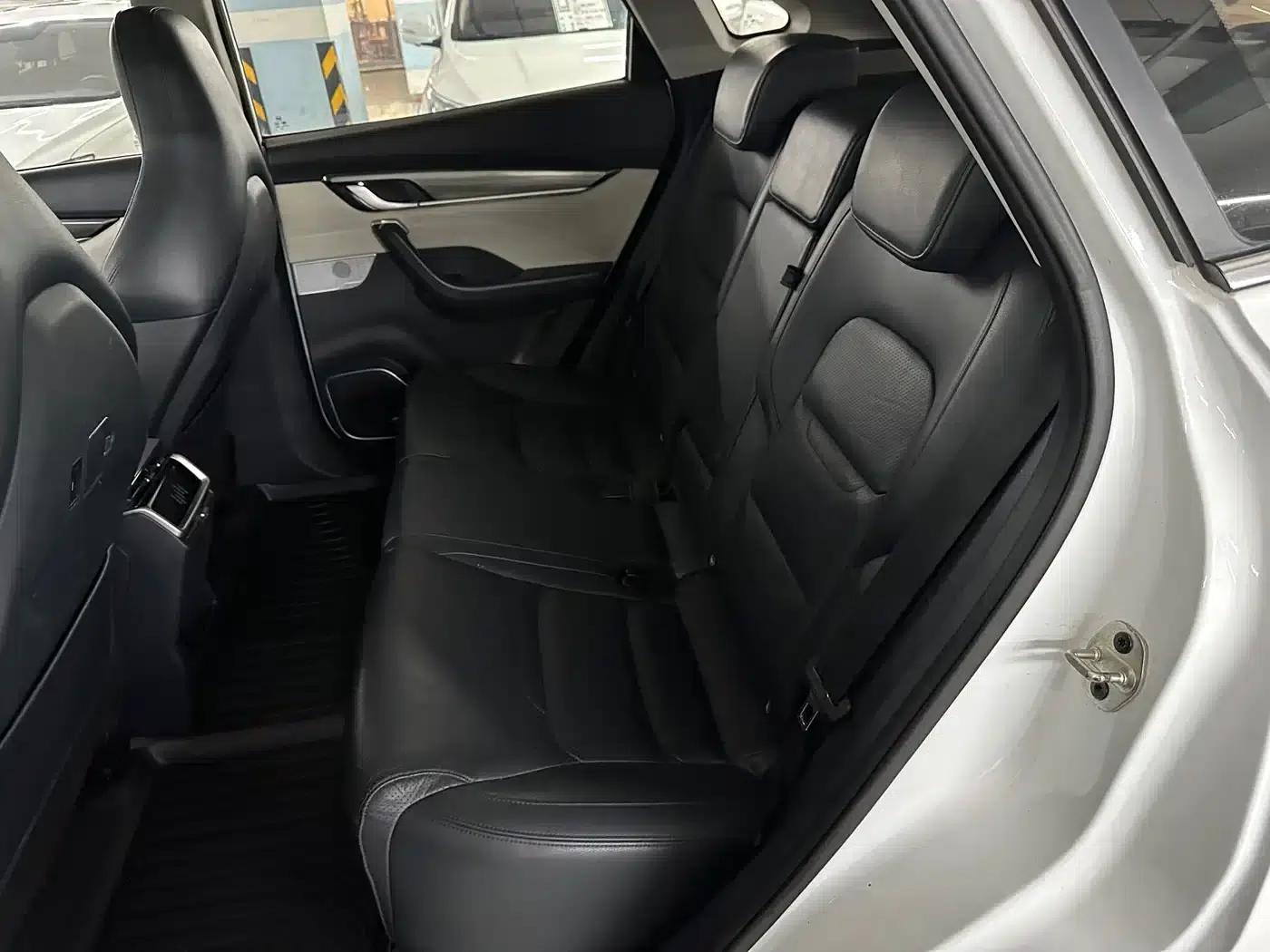 Weltmeister EX5 2018 EX5 400 Extra Innovation Edition — миниатюра 15
