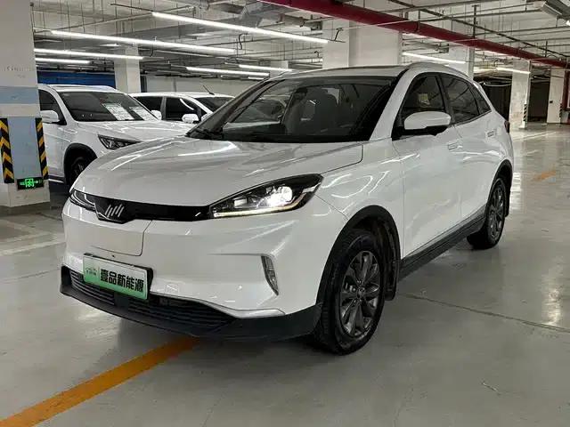 Weltmeister EX5 2018 EX5 400 Extra Innovation Edition