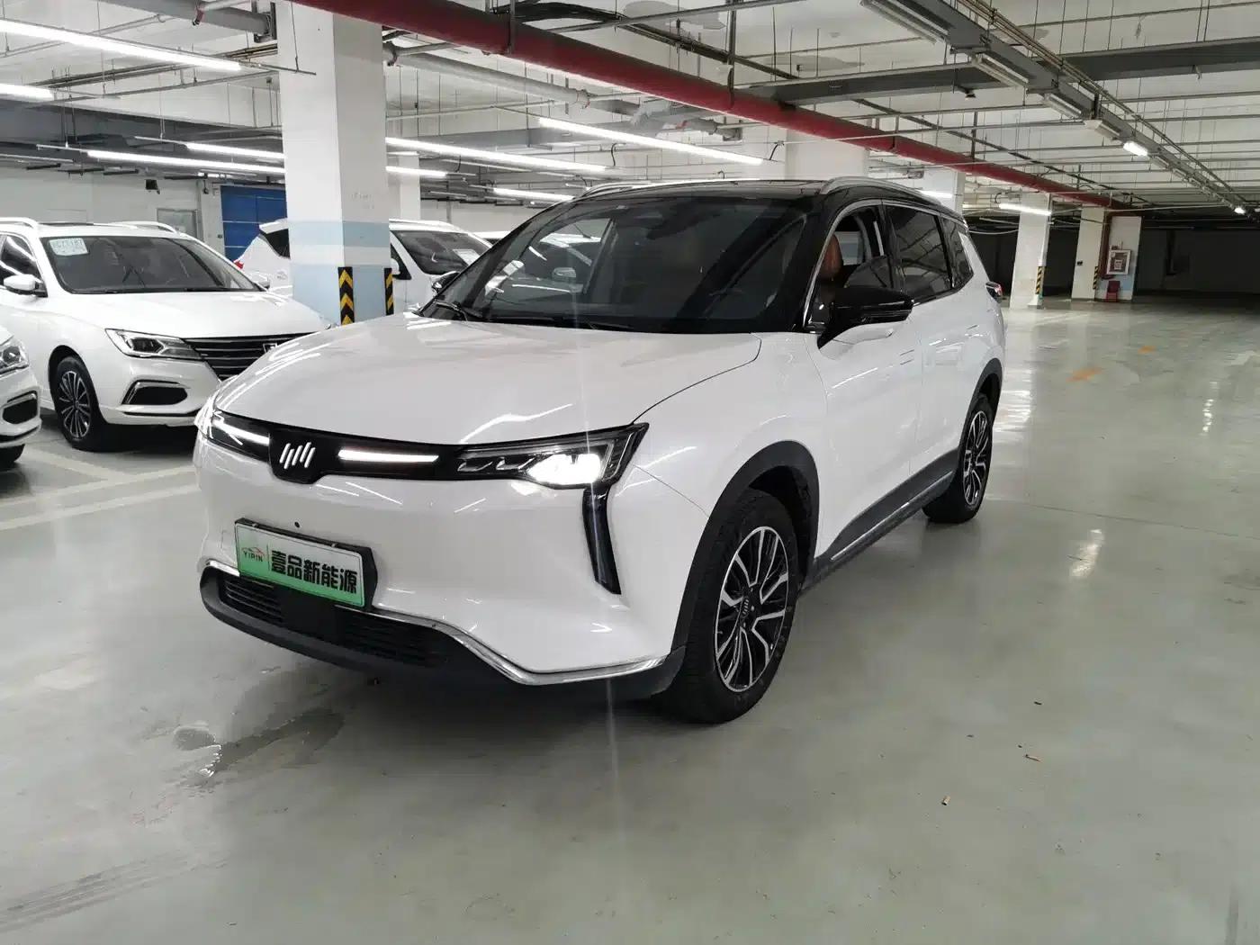 Weltmeister W6 2021 520km PRO All-Round Edition — миниатюра 1